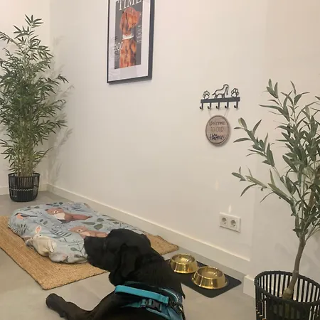 Duplex Appartement *