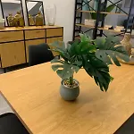 Duplex Apartment