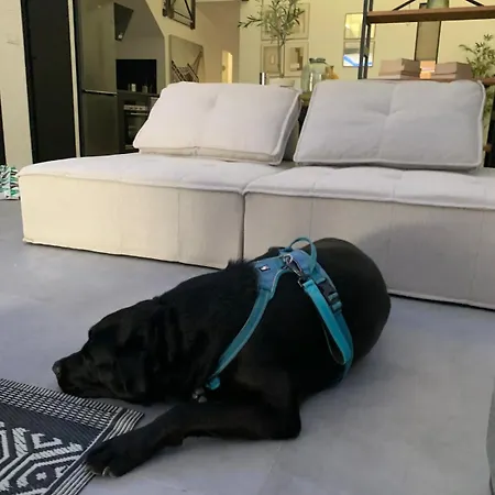 Apartment Duplex *